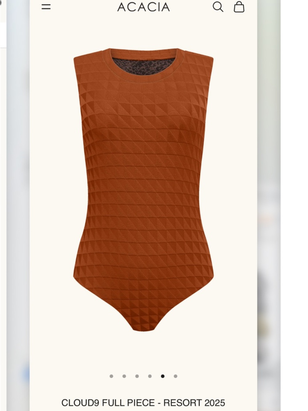 acacia swimwear Cloud9 one piece in umber NWT